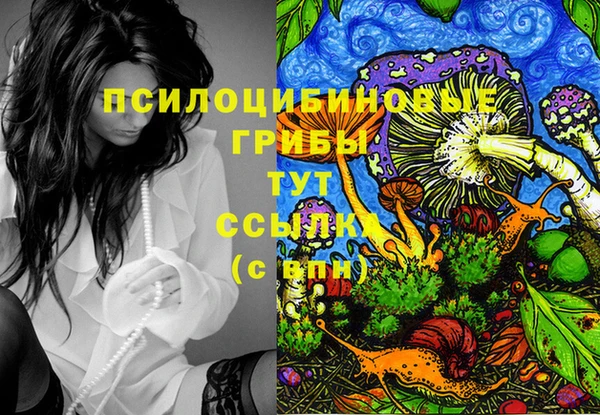 тгк Осташков