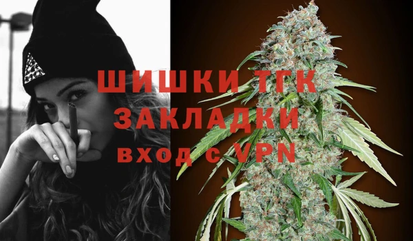 тгк Осташков