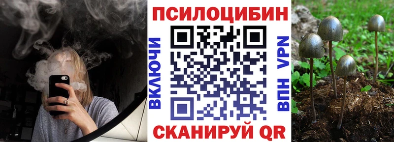 Галлюциногенные грибы GOLDEN TEACHER  цена   Сергач 